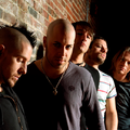 Daughtry