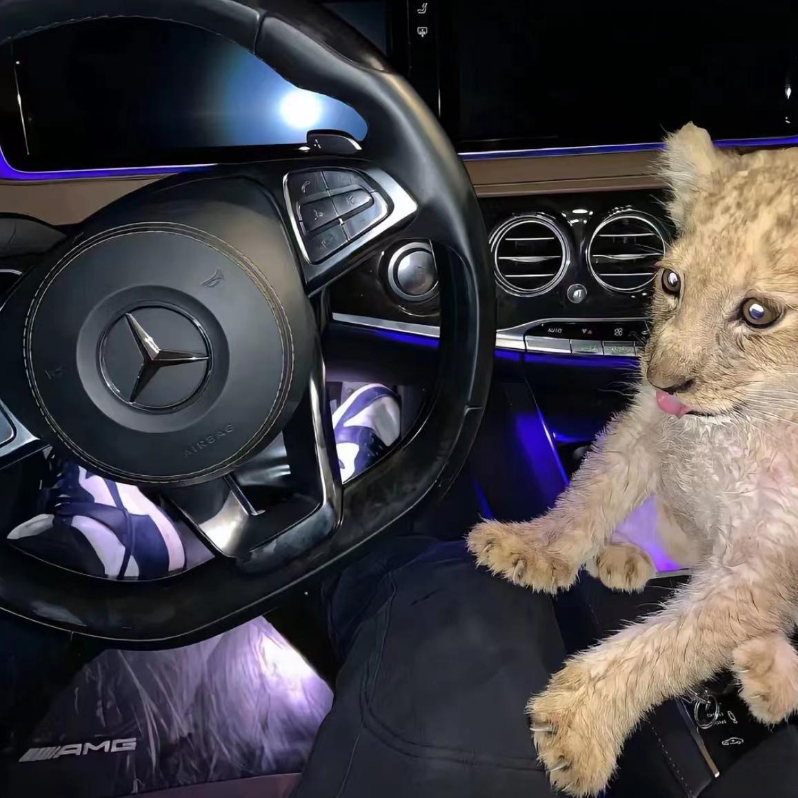 Mockingbird（春娇与志明伴奏版）