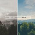 21 Ambient Sounds of Nature, Rain and Thunderstorms专辑