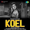 Koel