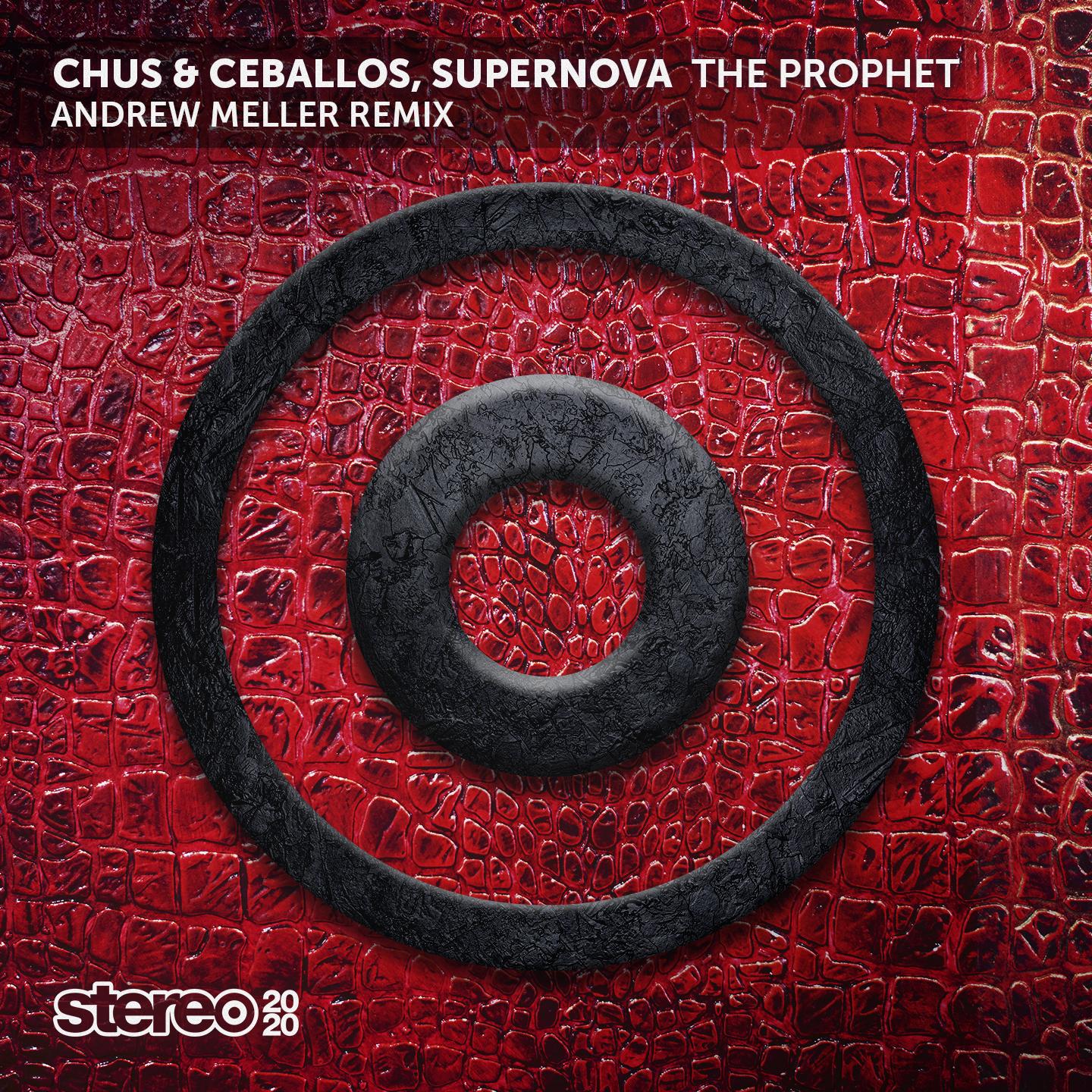 The Prophet (Andrew Meller Remix)