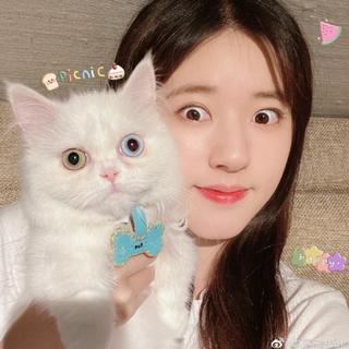 赵露思|微博音乐集♫