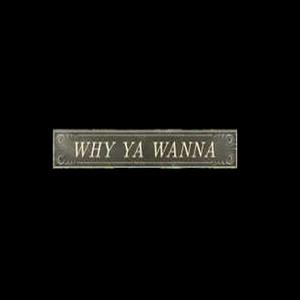 Why You Wanna - Jana Kramer (PT karaoke) 带和声伴奏