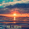 RAIME DIROCHE - All I Want