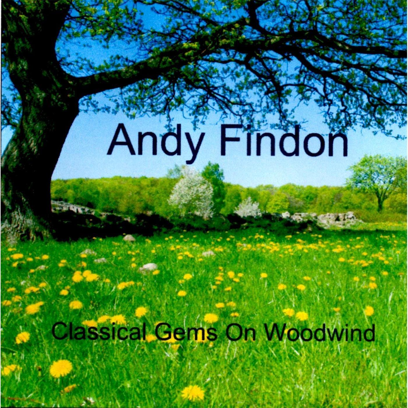 Classical Gems On Woodwinds