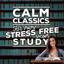 Calm Classics for Stress-Free Study