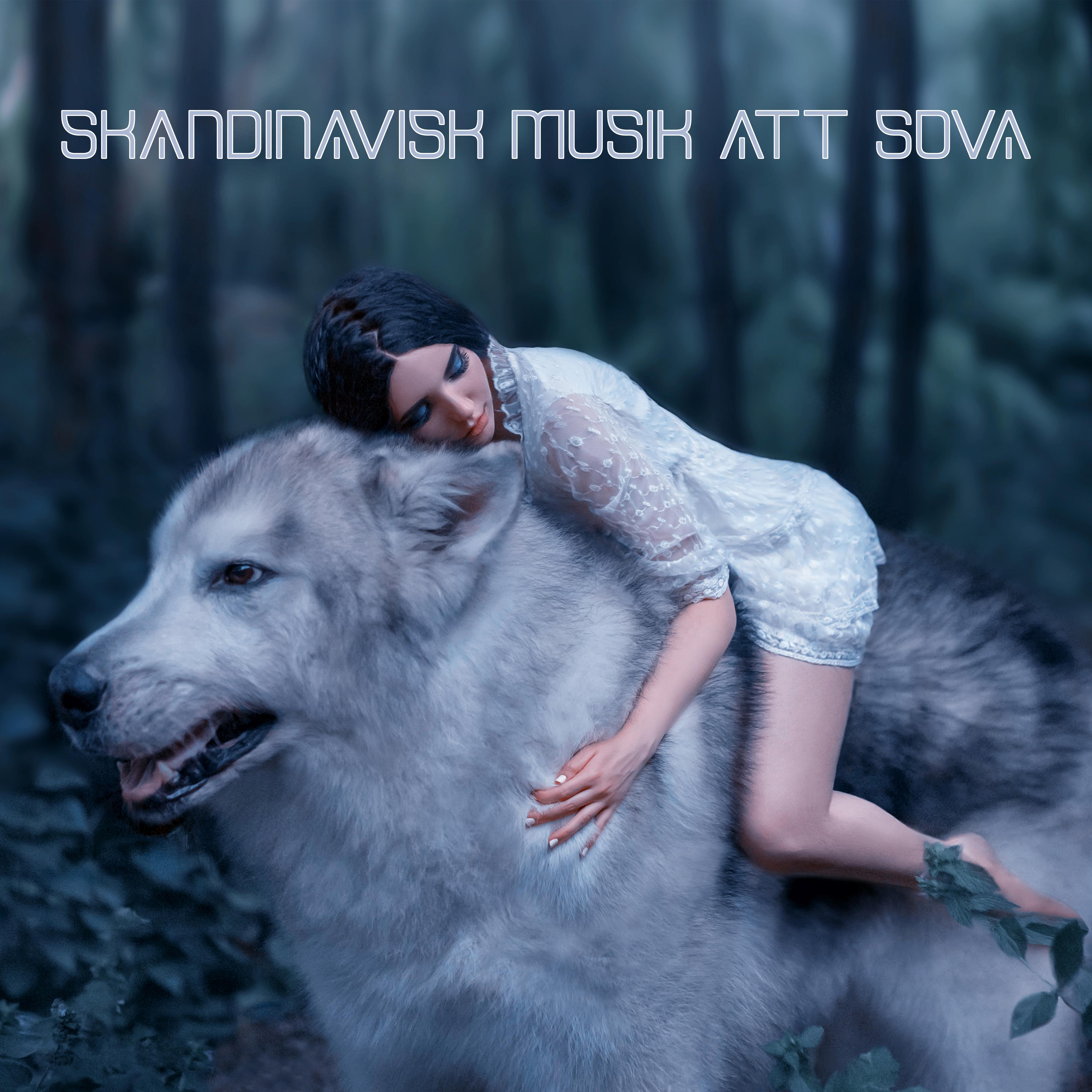 Skandinavisk Musik att Sova