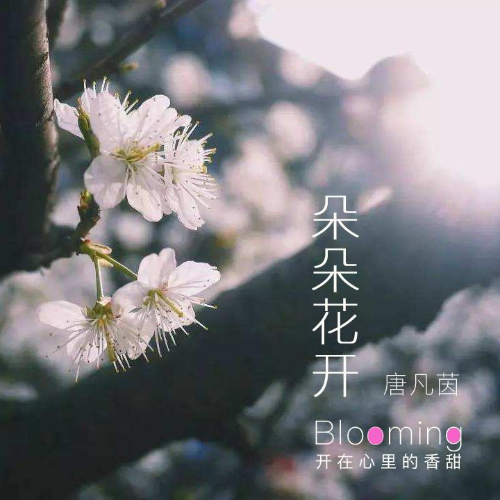 朵朵花开