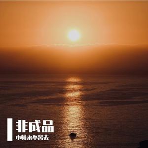 覃飞宇 - 我的名字叫中国(原版立体声伴奏)版本2