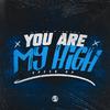 Dj VN Maestro - Dj Vn Maestro X You Are My High (Speed Up)