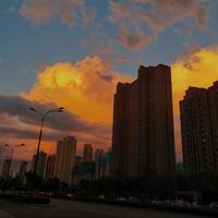 雨一直下+月亮惹的祸+用心良苦(2012)
