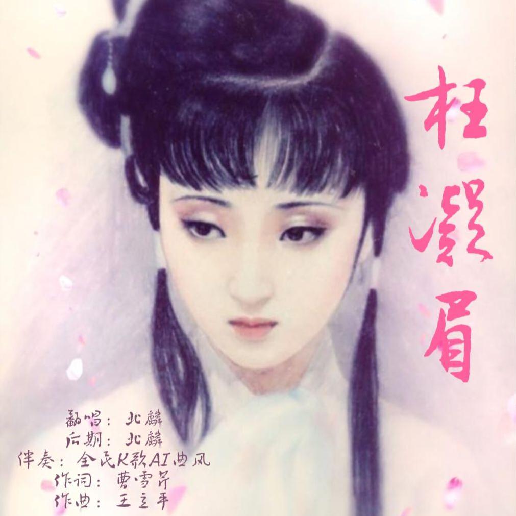 枉凝眉（古风Remix版）