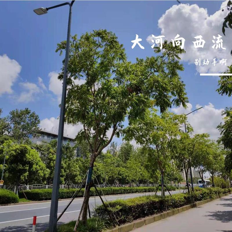 牧马城市（cover毛不易）