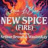 Luca LeBleu - New Spice (Fire) (Extended)