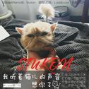 我听着猫儿的声音想你了专辑