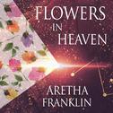 Flowers In Heaven