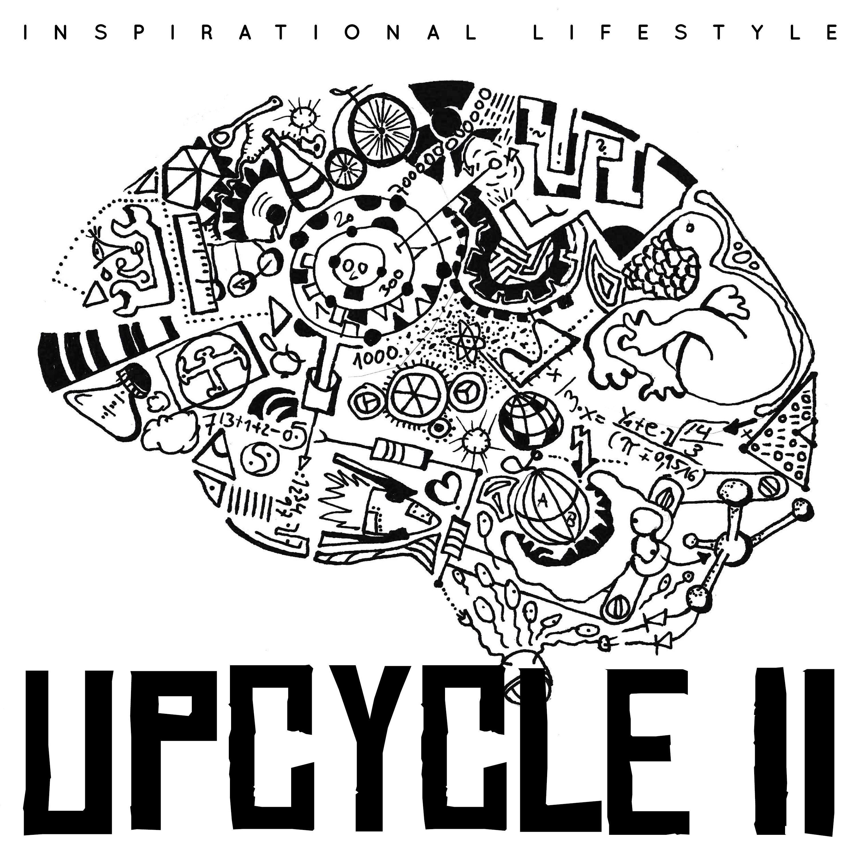 Upcycle II