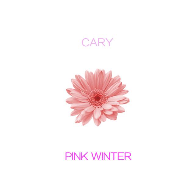 PINK Winter专辑