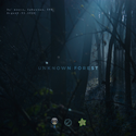 Unknown Forest
