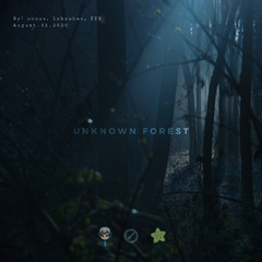 lyhyuhan-Unknown Forest (Extend Mix)（lyhyuhan / ZYX-Official / noone remix）