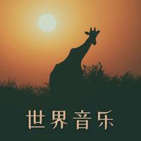 民族民间舞群舞 - 孔雀部落