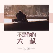 不是你的大叔