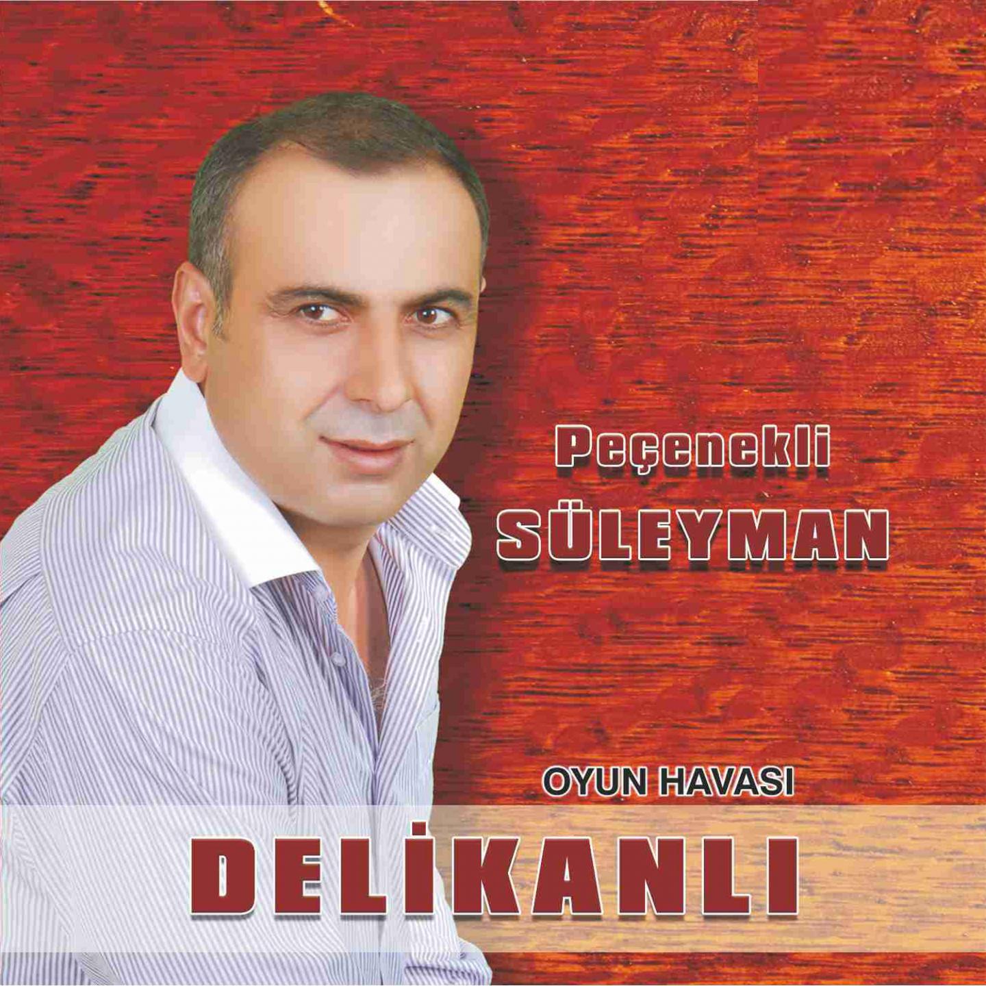 Delikanlı (Oyun Havası)专辑