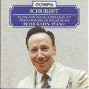Franz Schubert: Piano Sonatas, D 537 & D 960专辑