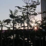 70s里没有be