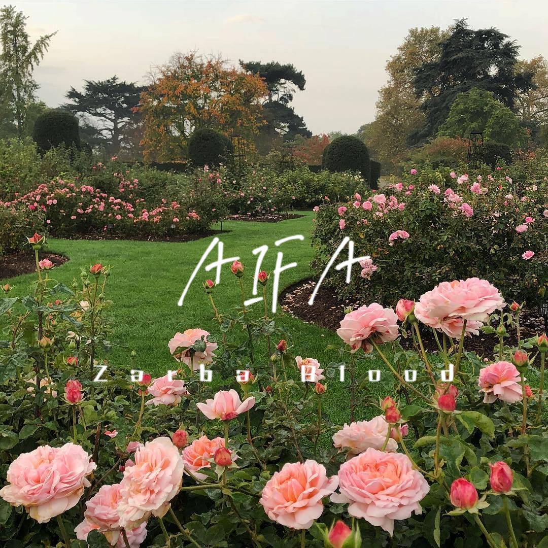 AIFA - 我的玛哈巴特