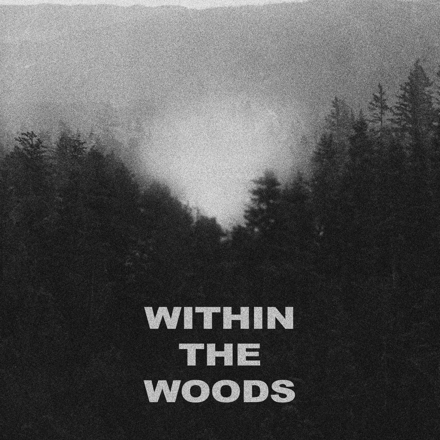 WITHIN THE WOODS (feat. bod [包家巷])