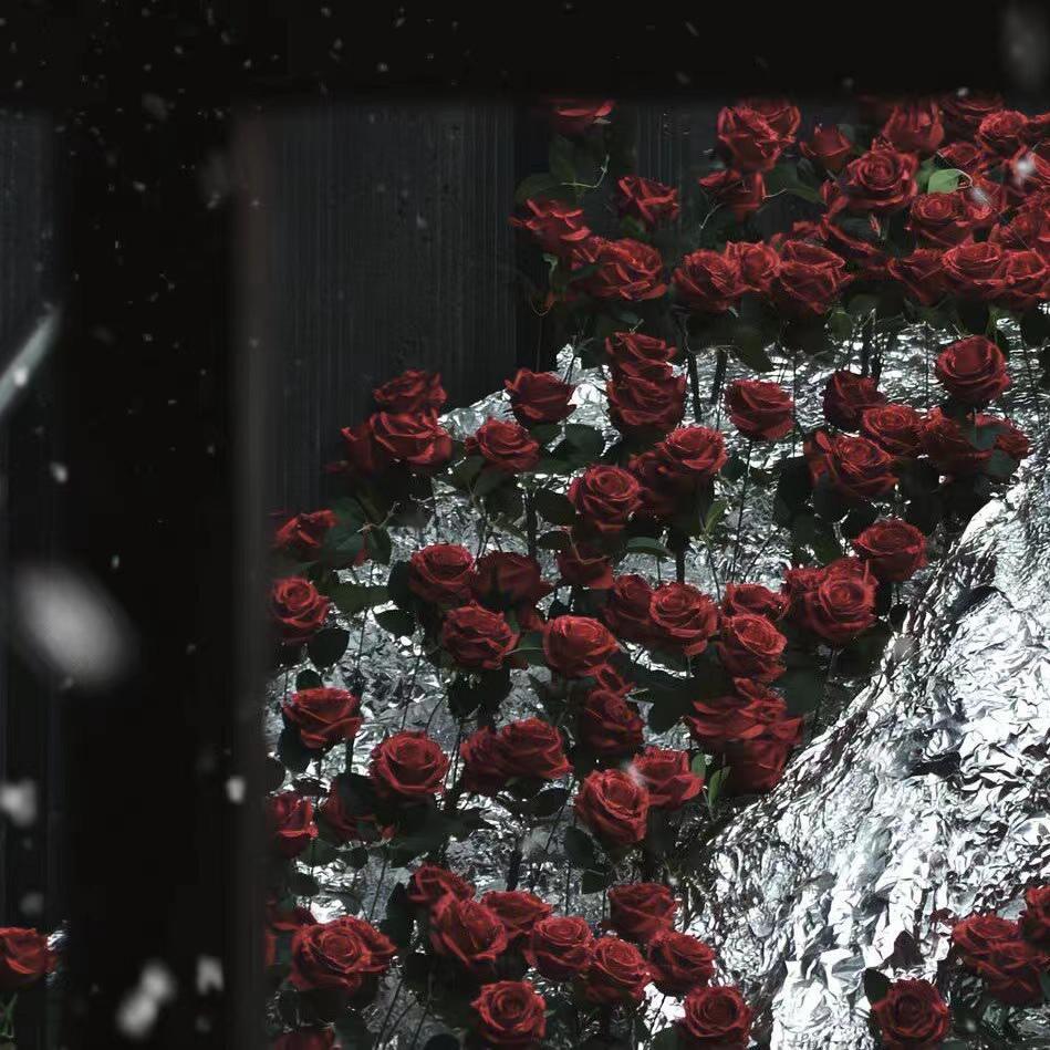 Experience（钢琴版）