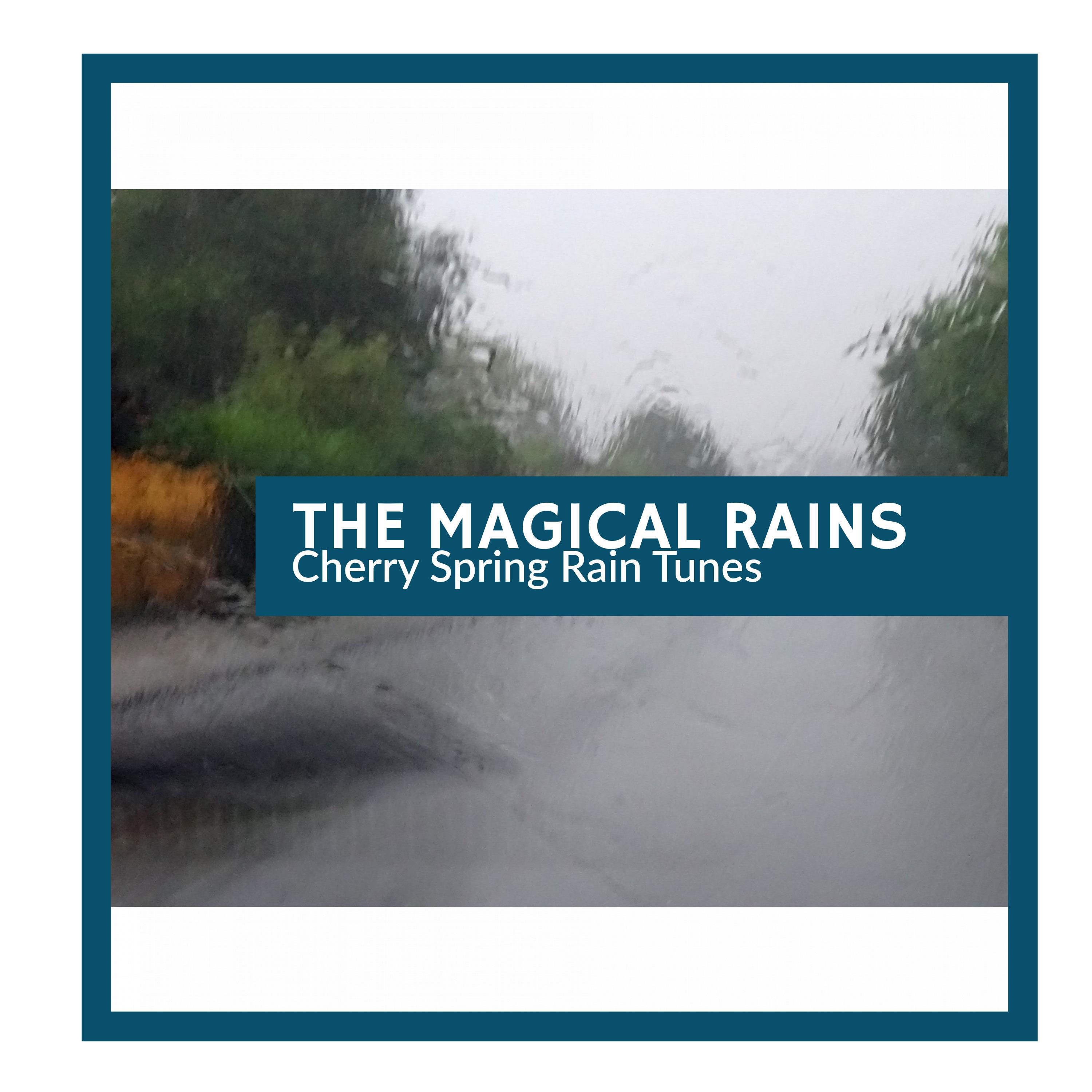 Close Rain Snapper Nature Music - Gigantic Thunderstorm