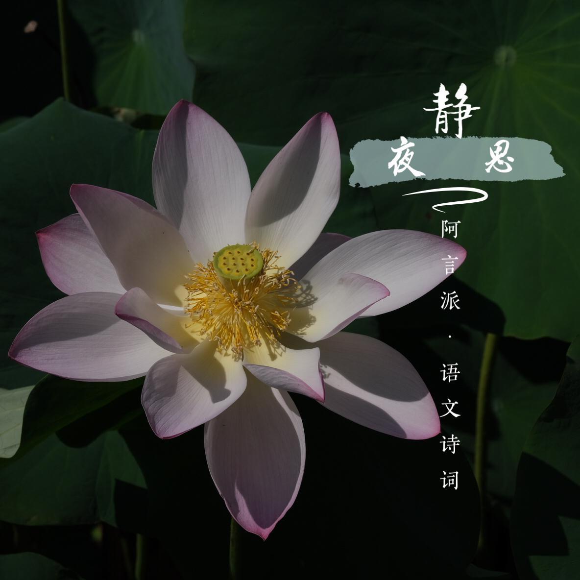 静夜思