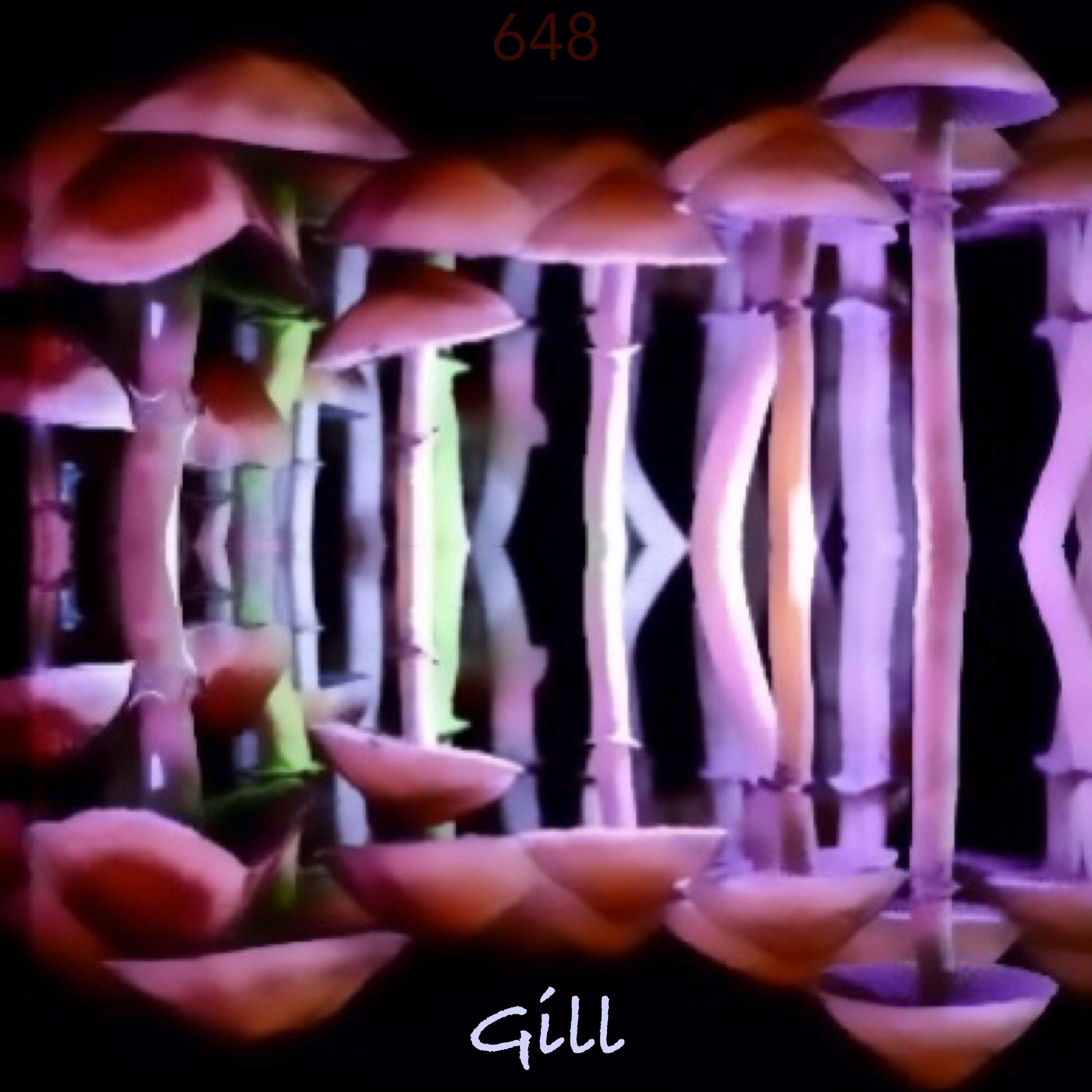 648 Gill