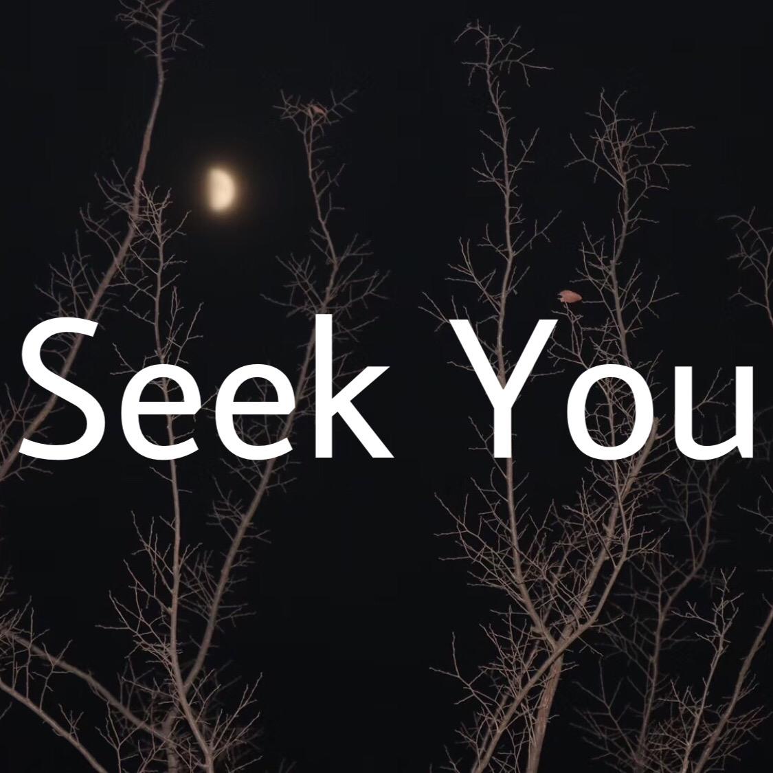 C99 - Seek You