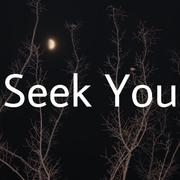 Seek You