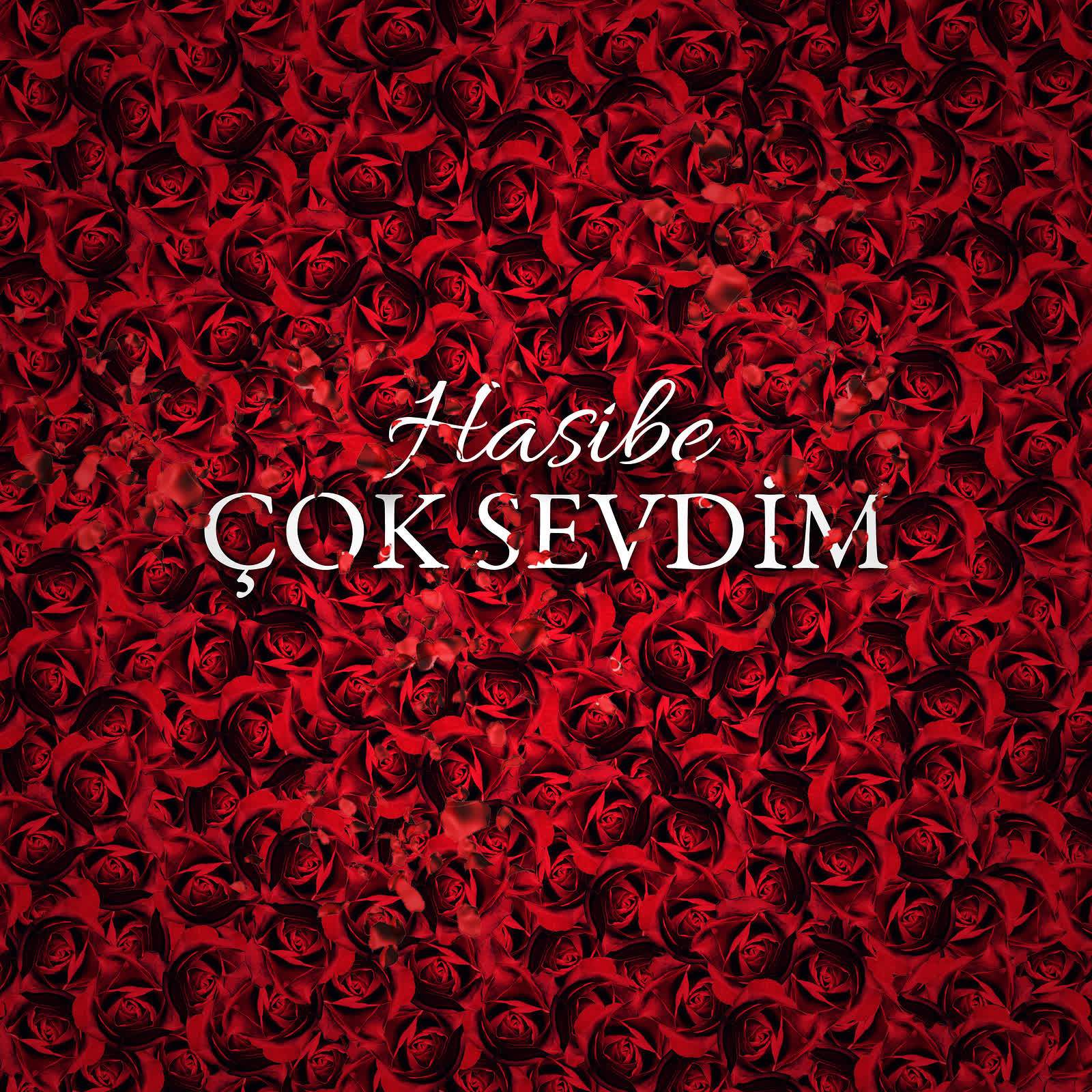 Çok Sevdim专辑