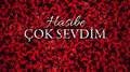 Çok Sevdim专辑