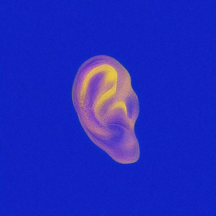 （Free）JELLY