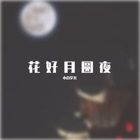 Lil Ghost小鬼(王琳凯)-花好月圆夜  伴奏 无人声 伴奏 更新AI版