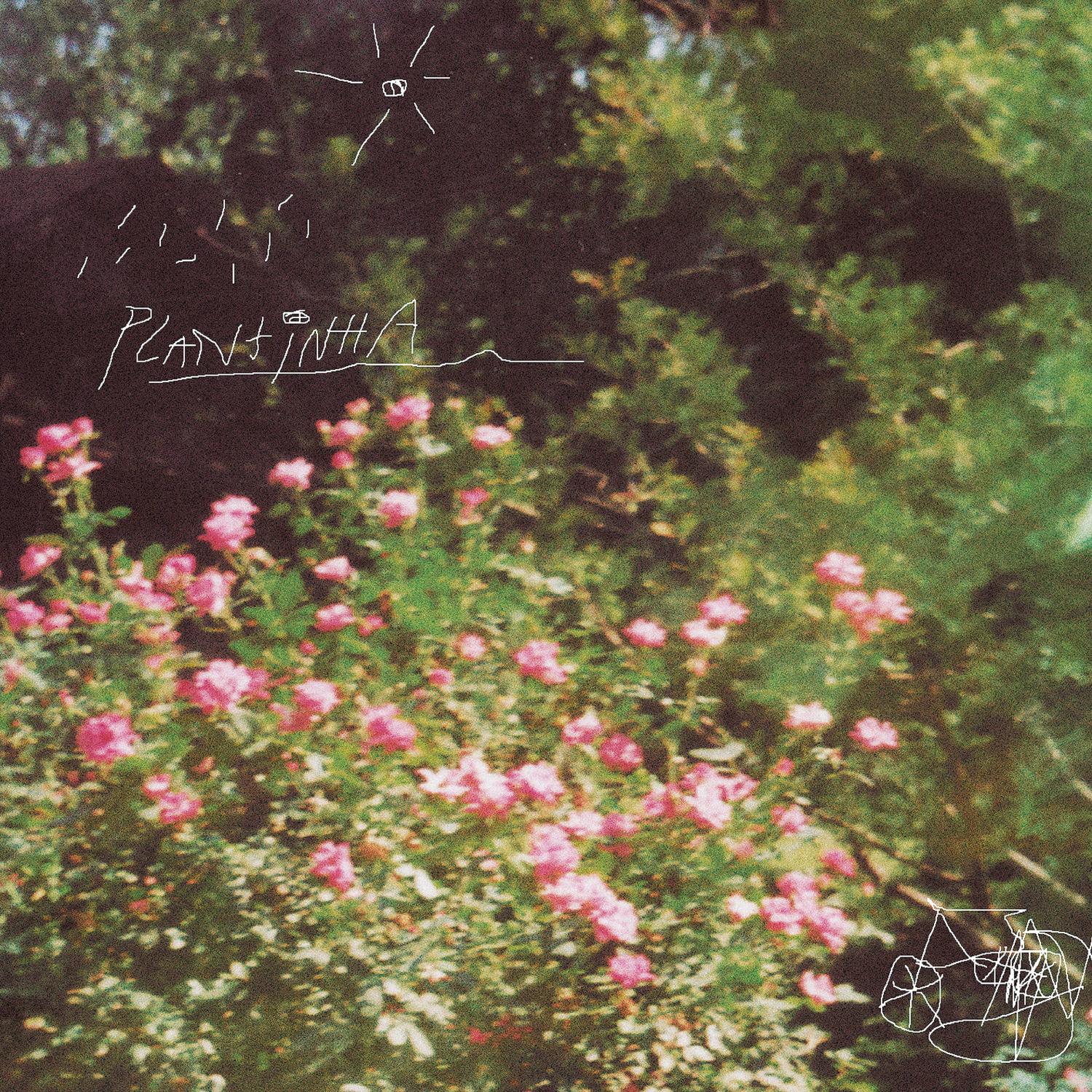 Plantinha - Single
