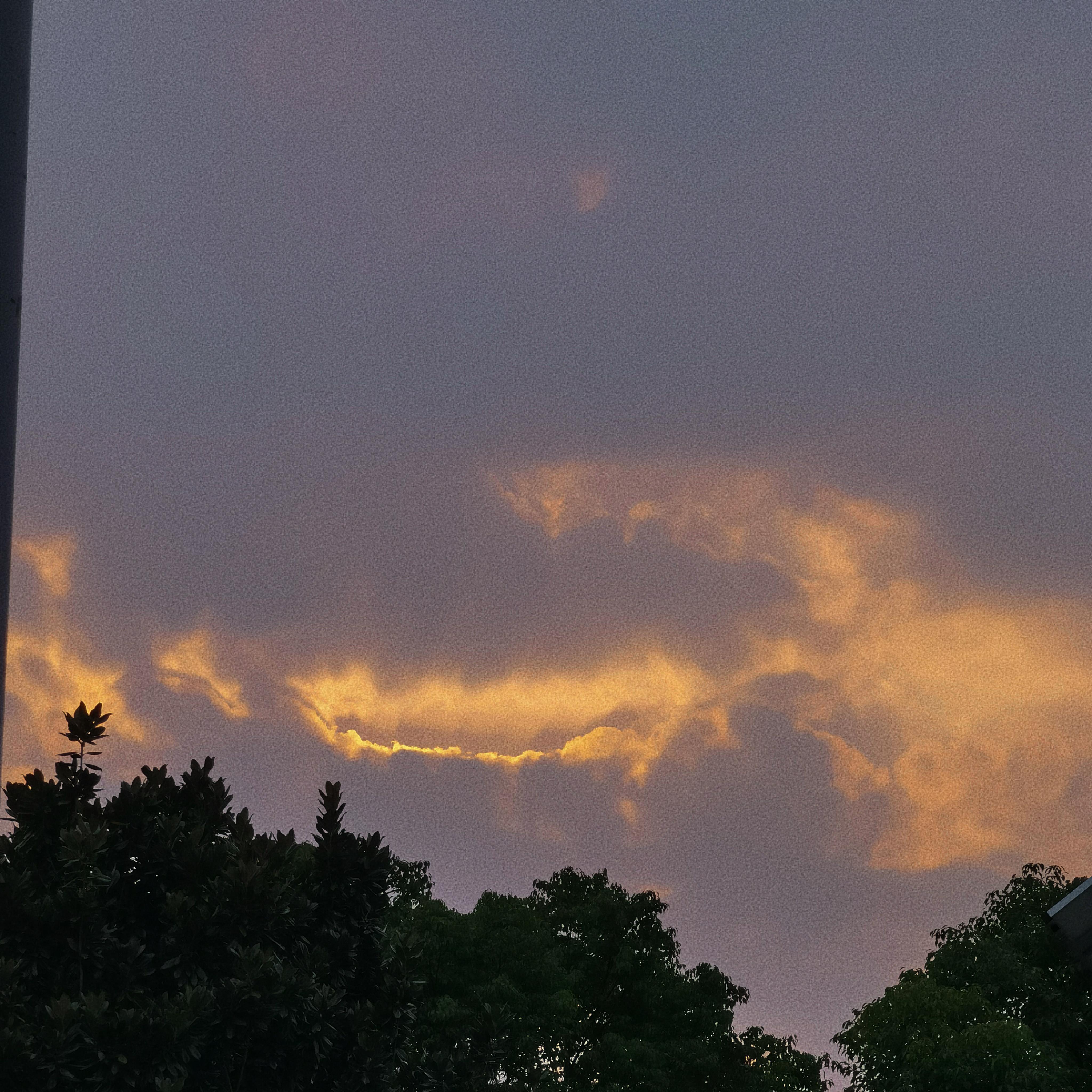 Hold On(一条淡淡水鱼)