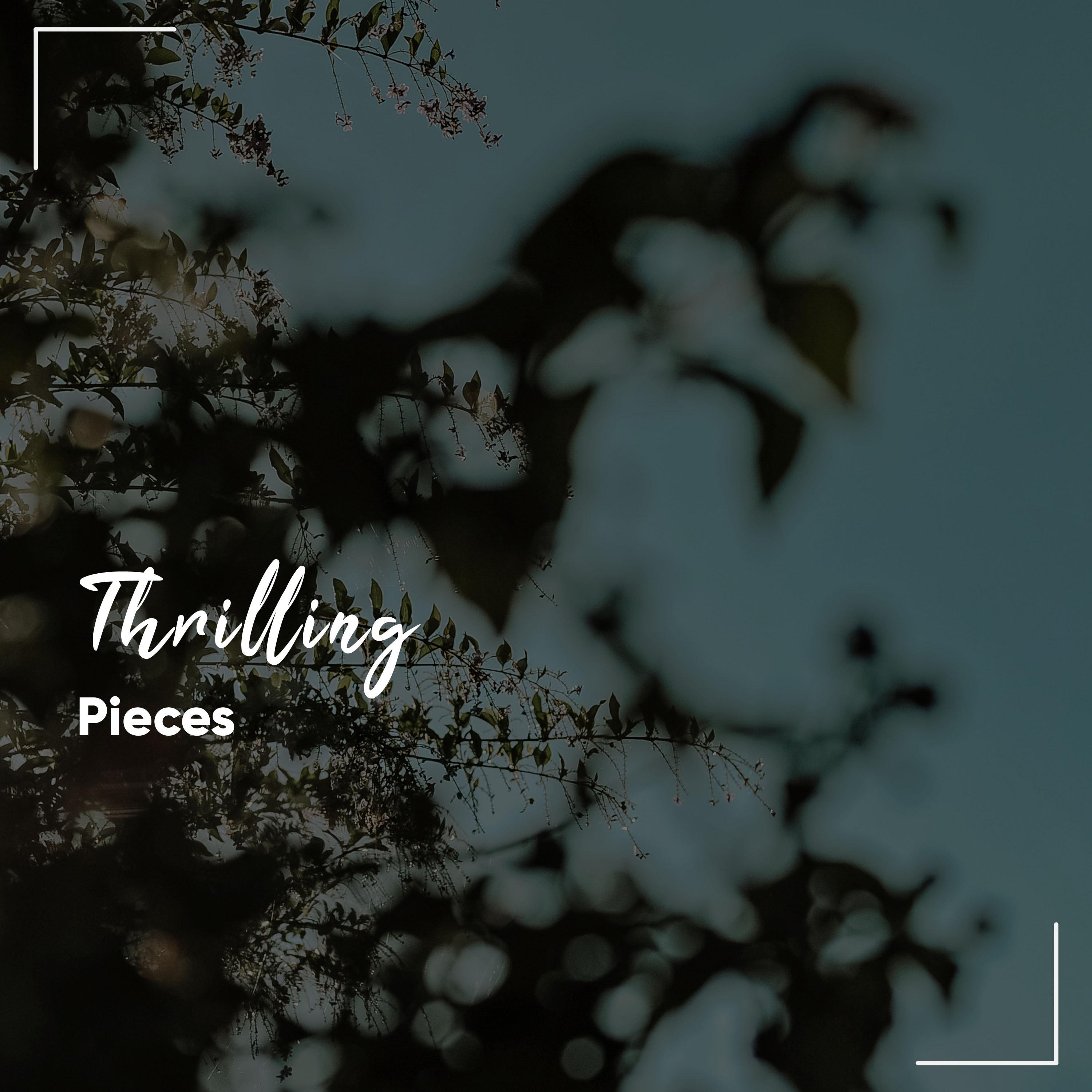 #20 Thrilling Pieces for Meditation and Yoga专辑