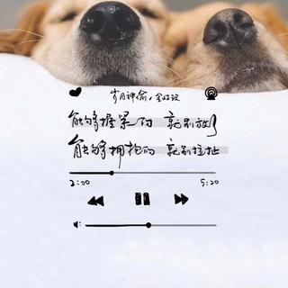 小酒馆丨当风吹起时 必定会有漫天尘埃