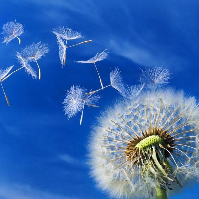 听风吹过的声音