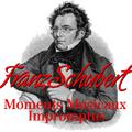 Franz Schubert Moments Musicaux, Impromptus