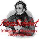 Franz Schubert Moments Musicaux, Impromptus专辑