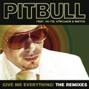 Give Me Everything: The Remixes