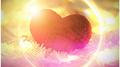 For Love专辑